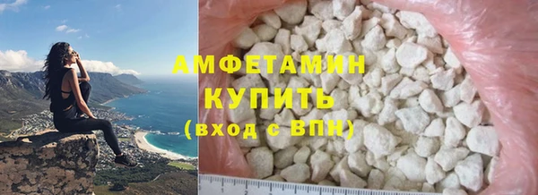 трава Осинники