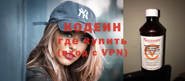 шишки Пестово