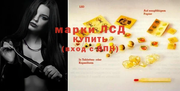 шишки Пестово