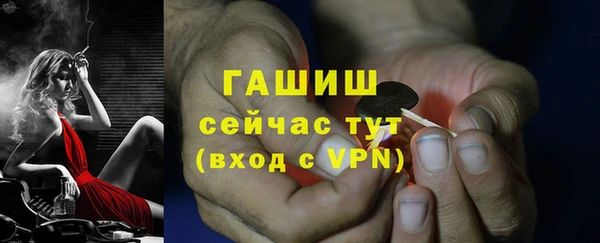 трава Пересвет