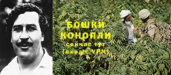 мяу мяу мука Осташков