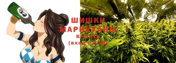 трава Осинники