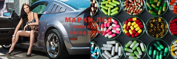 трава Осинники