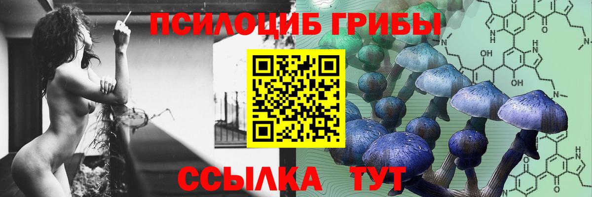Псилоцибиновые грибы мицелий Киреевск